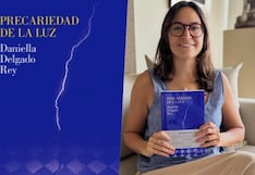 Celebración de lo endeble, por José Carlos Yrigoyen