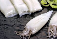 ¿Por qué el Perú debe impulsar la pesca de pota?