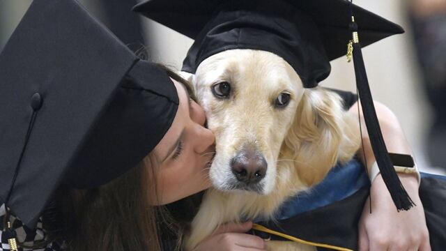 Perro de servicio recibe diploma de maestría en Nueva York