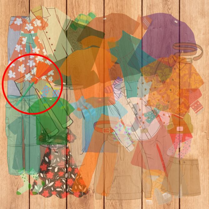 La escoba roja y verde ha sido rodeada en un círculo arriba.