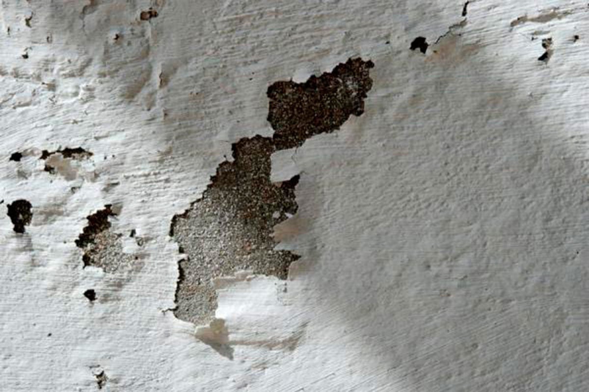 TRUCOS CASEROS | ¿Qué elementos pueden eliminar la humedad de la pared? Conoce algunos tips para solucionar este inconveniente en casa. (Foto: Pinterest)