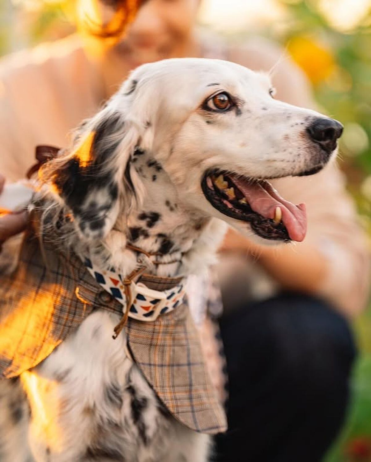 La sesión fotográfica que le hicieron a Rita (Foto: Yoo Yeon-seok / Instagram)