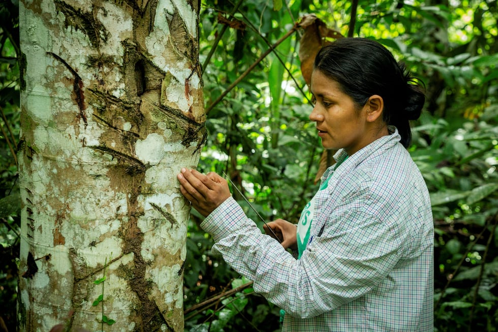 Aunque le apasiona la ciencia, la casi bióloga piensa que a esta le hace falta apreciar más el bosque. Foto: Patrick Murayari