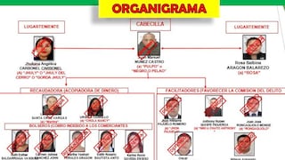 Banda ‘Los Pulpos de La Victoria’ logró amasar S/ 75 millones en Gamarra: ¿cómo operaba, quiénes eran sus víctimas y cuáles eran sus integrantes?