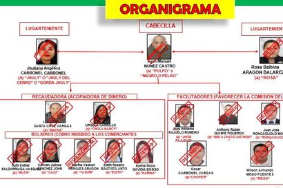 organigrama