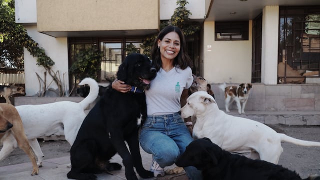 Sandra Garcés, la arequipeña que ha creado un refugio para más de 60 perros abandonados