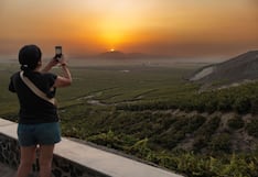 Caminar entre viñedos y vivir la experiencia de la vendimia es posible en este hotel de Ica