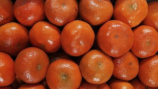Camposol envió su primer contenedor de mandarinas a EE.UU.