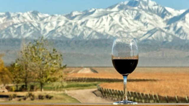 Estas son las mejores rutas del vino en el mundo