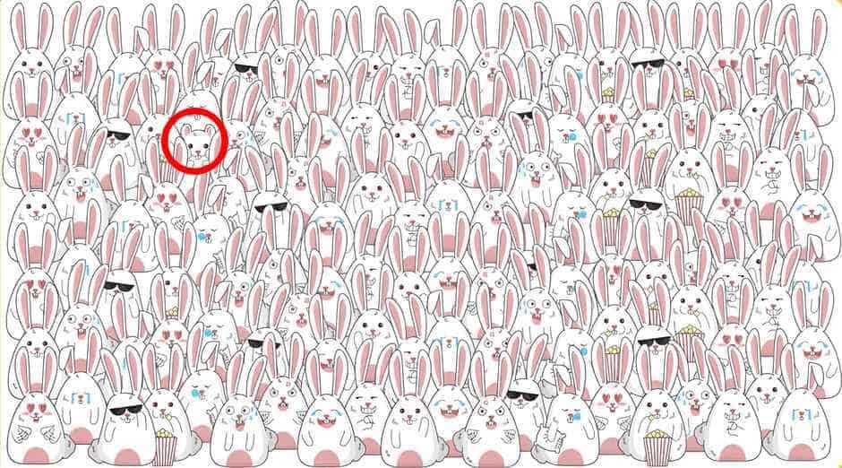 RETO VISUAL | El hámster se puede ver en el lado izquierdo de la imagen; se identifica por sus orejas, que son diferentes a las de los conejos.