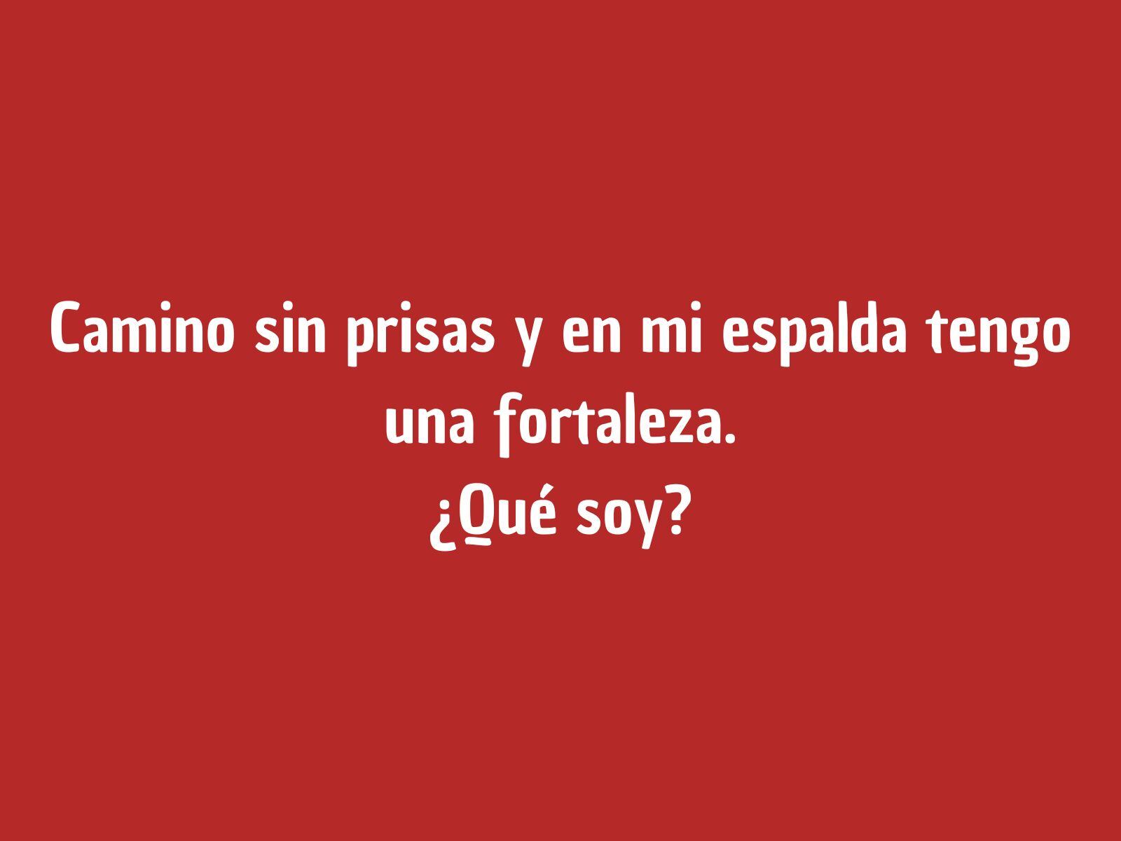 Acertijo mental: La concentración será clave para superar este juego mental. No tienes mucho tiempo. (Creación: Mag)