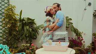 “Amor Erizo”: fecha de estreno confirmada de la nueva película de Patricia Barreto