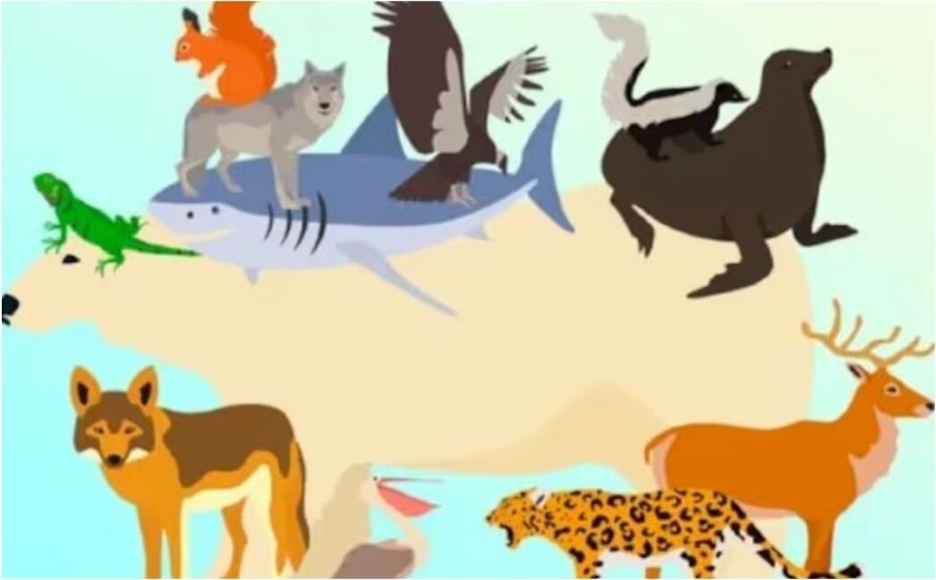 Si lograste identificar a los 12 animales ocultos en el tiempo asignado, felicidades, eres un experto en este tipo de desafíos.