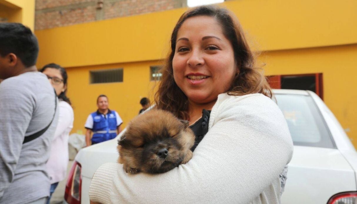 La 'Ley 4 Patas' tiene como objetivo implementar la esterilización de perros y gatos como parte de la tenencia responsable de mascotas, y así evitar la sobrepoblación de animales.