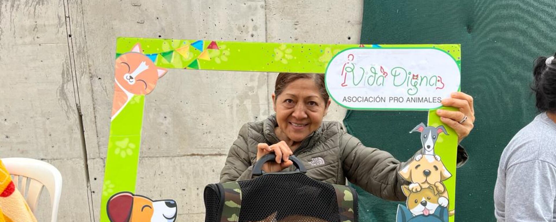 Campaña privada de esterilización logra atender a más de 60 perros y gatos en un día: ¿cuál es el estado de la Ley “Cuatro patas”?