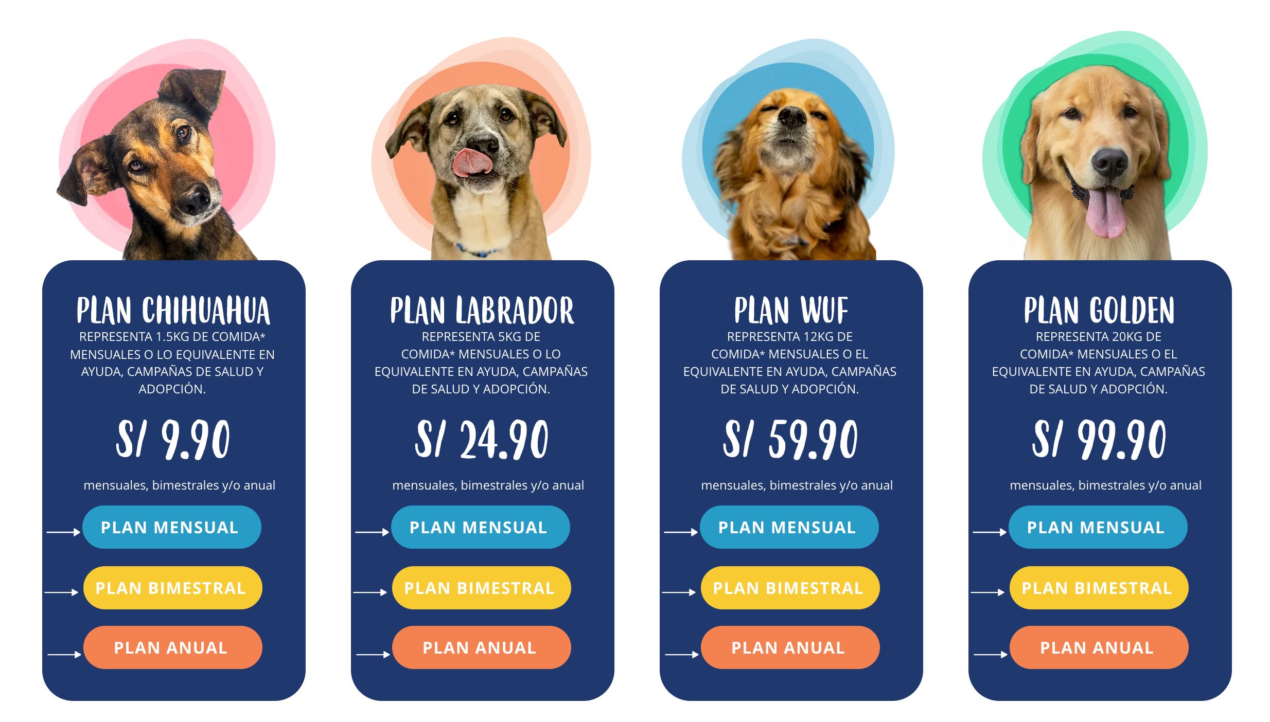 Conoce nuestros planes de apadrinamiento y ayúdanos a cambiar la vida de más perritos rescatados.
Con tu apoyo, en WUF podemos brindar alimento, atención veterinaria y mucho amor a quienes más lo necesitan.