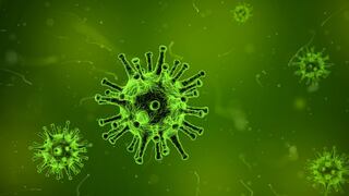 Descubren cientos de nuevos virus que pueden causar enfermedades desconocidas en humanos