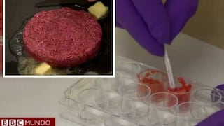VIDEO: ¿Cómo se prepara una hamburguesa de células madre?