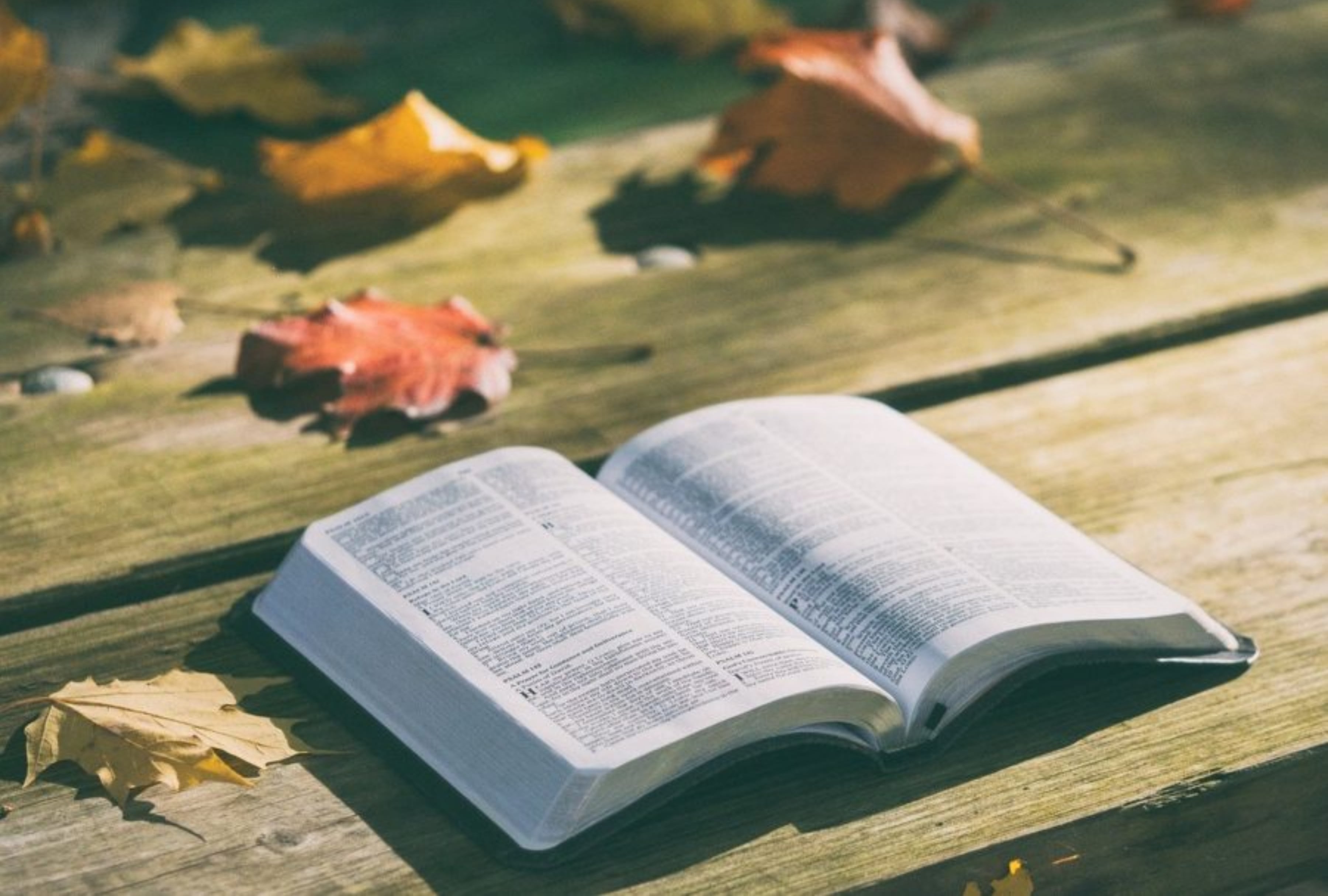 La Palabra de Dios, fuente de luz y guía para reflexionar en Semana Santa. Te compartimos una compilación de 50 mensajes inspiradores. (Imagen: Pexels / Pixabay)