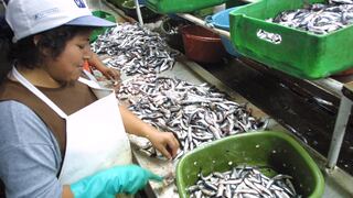 ADEX: Exportaciones pesqueras para consumo humano directo se recuperaron en 2021