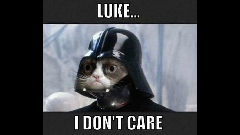 Estas son algunas imágenes por el Día Internacional del Gato. (Foto: Twitter)