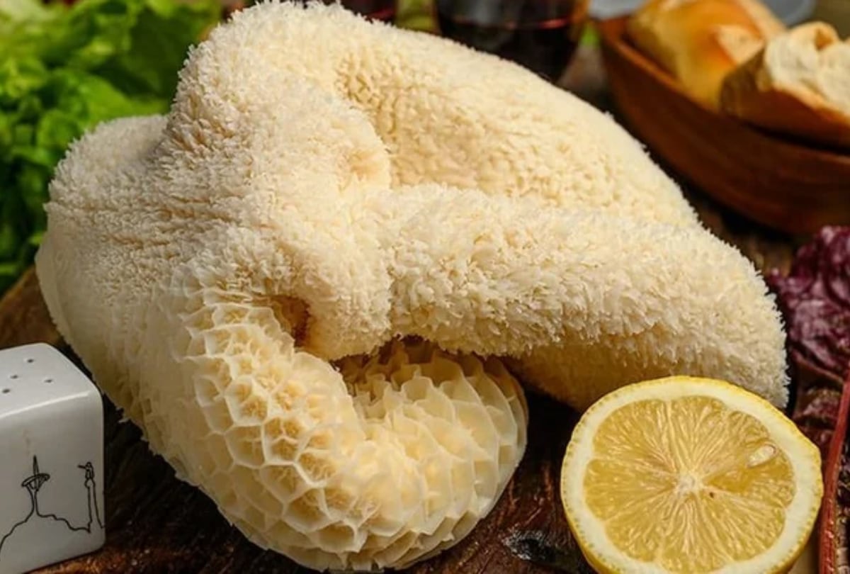 El mondongo es fuente de muchos nutrientes, aunque su principal desventaja es su mal olor. (Foto: eldebate).