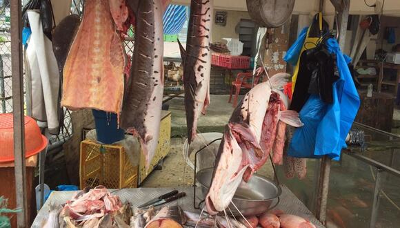 *Imagen principal: Mercado pesquero en Ecuador. Foto: cortesía Windsor Aguirre.