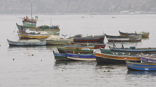 Produce modificará ROP de la merluza para incluir a pescadores artesanales del norte del país