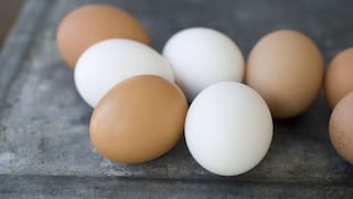 Granja holandesa logra producir huevos sin emitir CO2