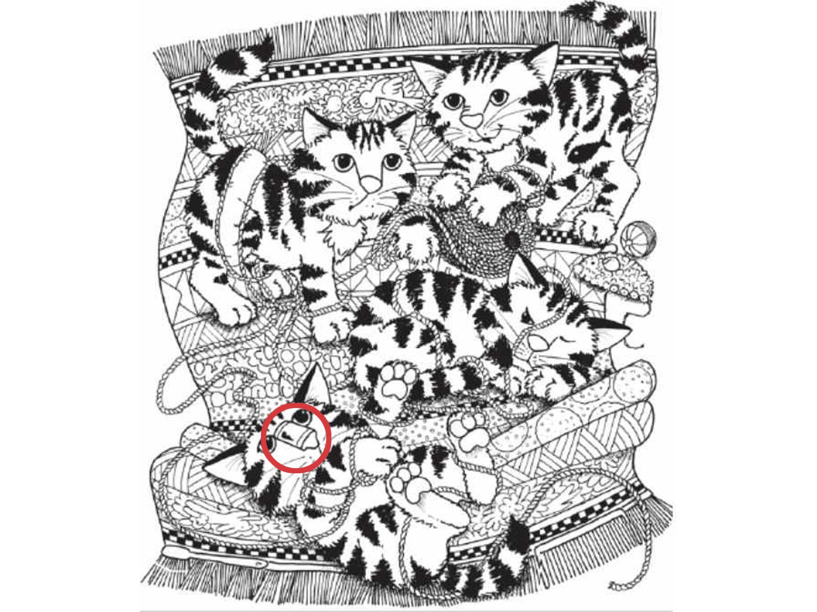 Comparte este reto con tus amigos y familiares para ver quién tiene la vista más aguda y la mente más inteligente.