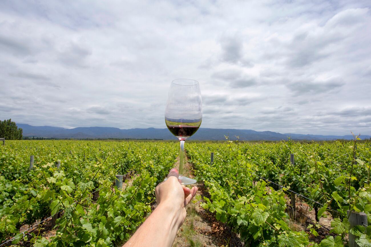 Aunque es de origen francés, la cepa emblemática de Argentina es el Malbec.
(Foto: Instituto Nacional de Promoción Turística)