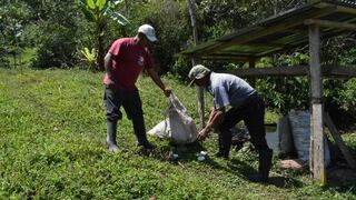 Ellos son los pequeños productores detrás del café peruano que llegó a la Bundesliga