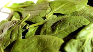 Verduras de hoja verde son claves para la salud intestinal, según estudio