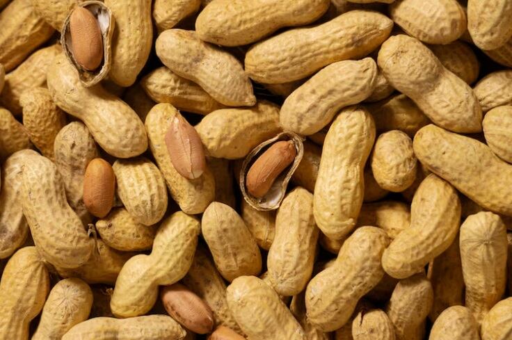 Los investigadores encontraron que quienes comieron 25 gramos de maní al día mostraron un aumento en la longitud de sus telómeros, mientras que quienes consumieron mantequilla de maní no tuvieron los mismos beneficios. (Foto referencial: Freepik)