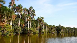 Perú-Petro invitará a “no menos de cinco empresas” para evaluar el potencial gasífero del yacimiento Candamo