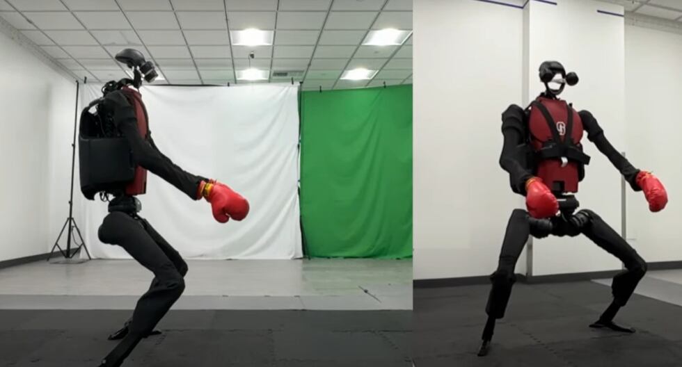The humanoid robot learning boxing and piano through human observation
