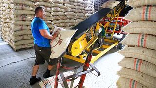 Producción nacional de café podría caer hasta 30% este año