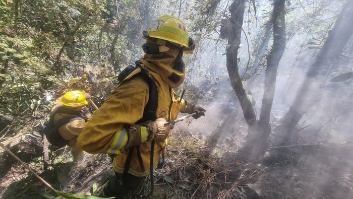Incendio forestal en Machu Picchu: esperan autorización para sobrevuelo de helicóptero