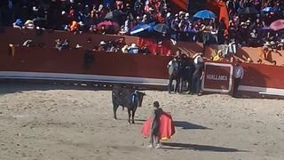 Corridas de toros: Sentencia prohíbe la formación de niños toreros y que ellos participen en los eventos