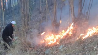 Áncash: extinguen incendio forestal que arrasó con cuatro hectáreas de pastos