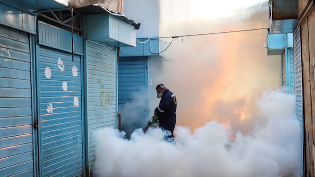 Cómo protegernos del dengue frente a la llegada del “Fenómeno de El Niño”