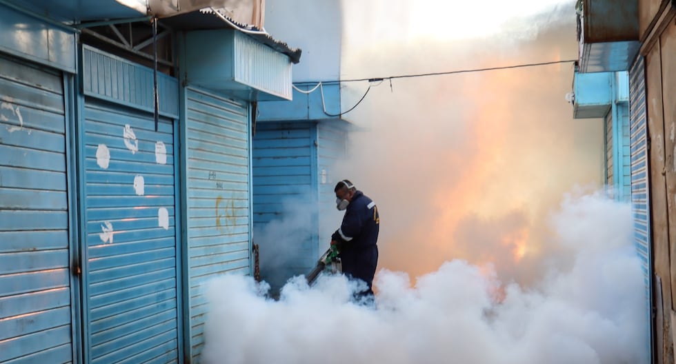 Comuna piurana fumigó mercados municipales para evitar aumento de casos de dengue.