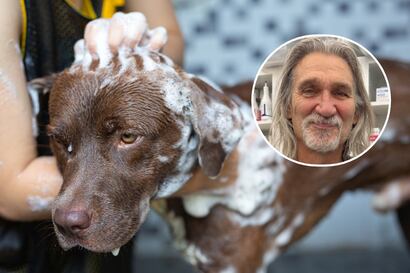 La controversial opinión de un veterinario estadounidense sobre el shampoo para perros