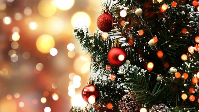 ¿Dónde queda la feria en el centro de Lima que vende árboles de Navidad desde S/50? | Foto: Freepik