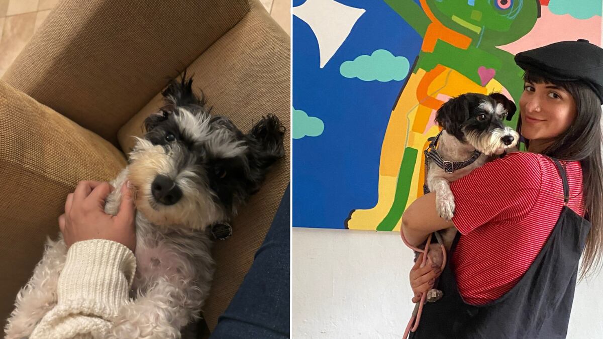 María José conoció a Kiki en el albergue Milagros Perrunos, uno de los albergues afiliados a WUF.