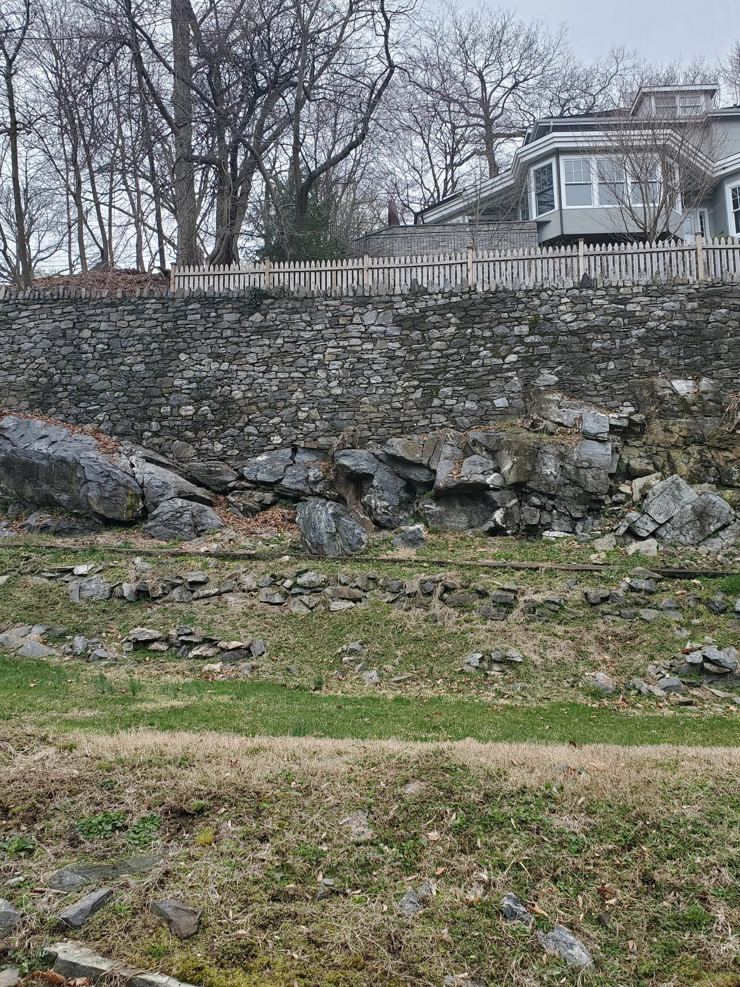 Este reto viral está causando furor. ¿Crees tener lo necesario para encontrar a la marmota en menos de 30 segundos?