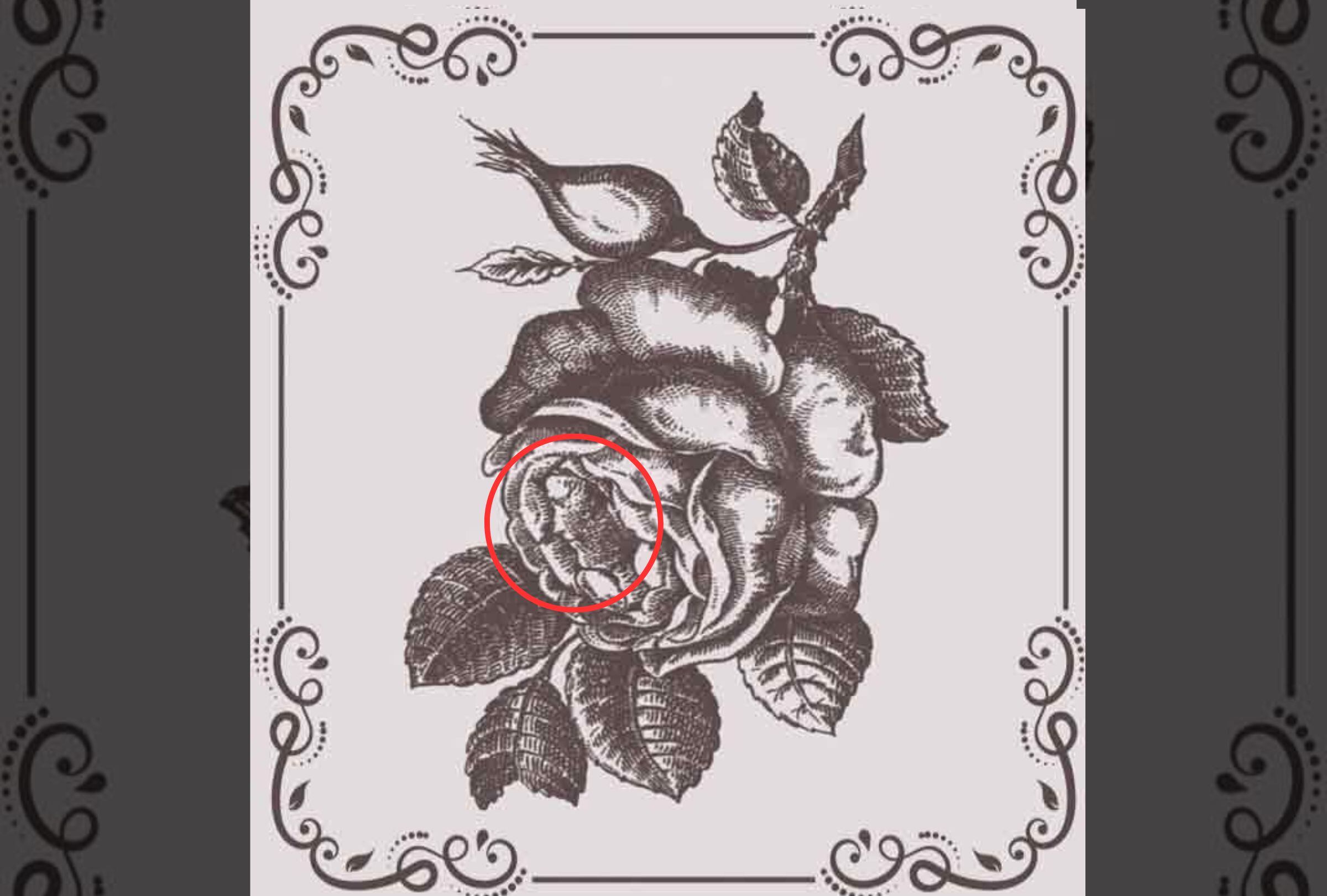 Mira atentamente el círculo rojo del gráfico. Ahí se encuentra el rostro de la mujer. Solo tenías que girar la imagen para hallarla. ¿Lo conseguiste? (Crédito: Día por Día me Supero)