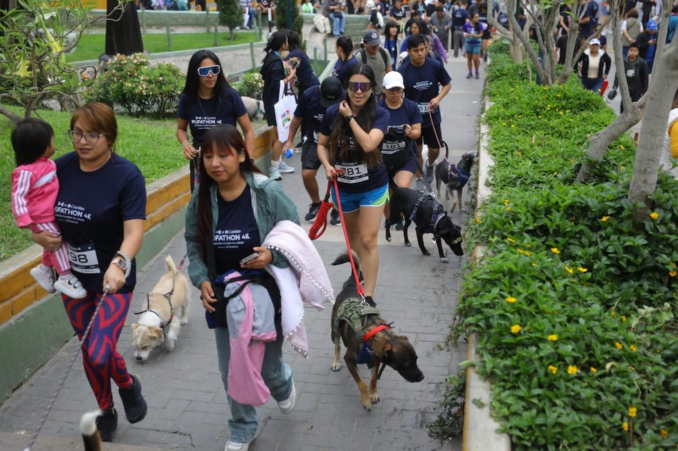 La Wufathon 4K 2025 en las calles de Barranco tuvo gran acogida. La jornada deportiva sirvió para que cientos de participantes compartieran con sus mascotas. (Foto: Antonio Melgarejo/ @photo.gec)