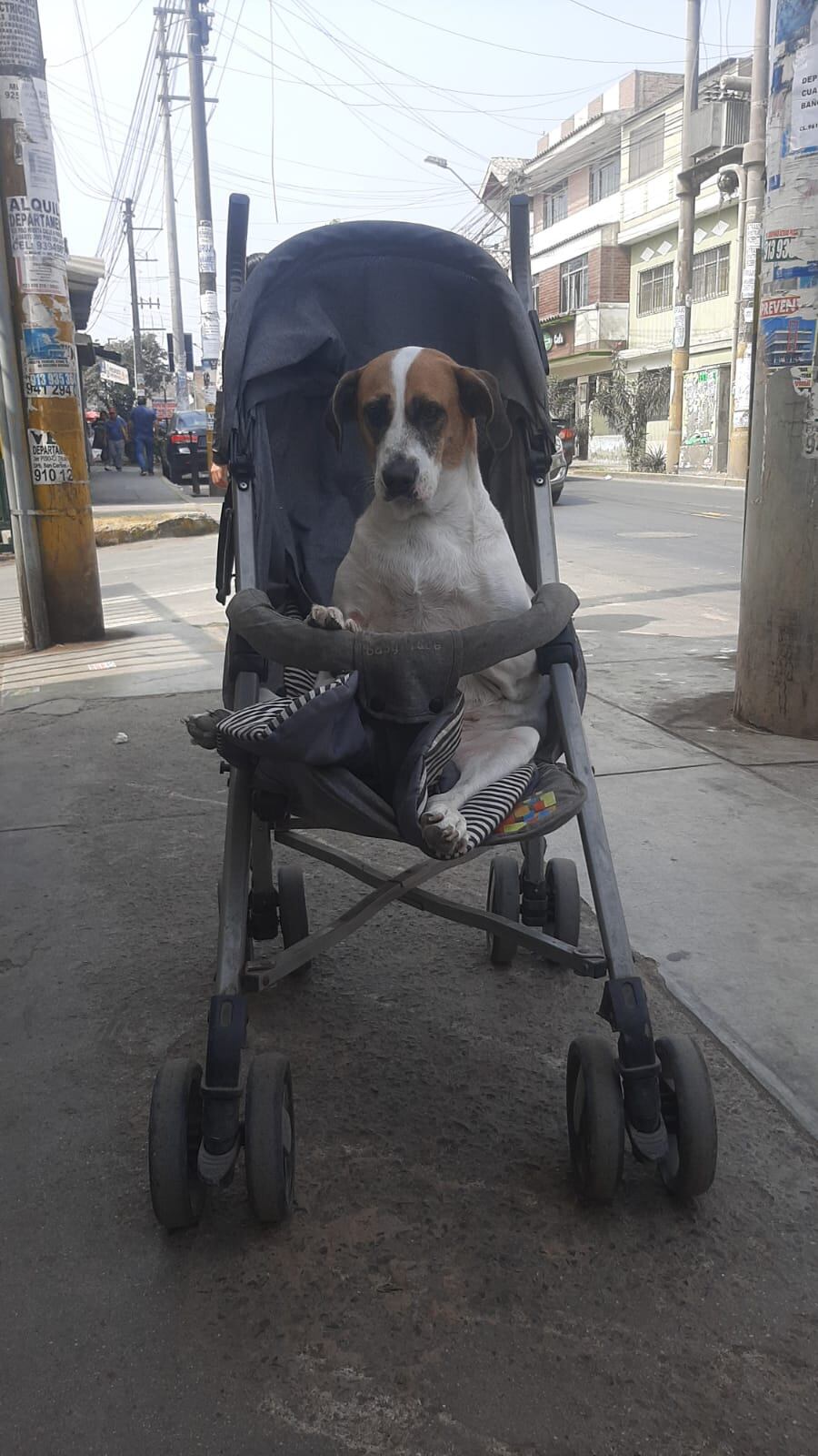 (Miguel Ángel Rivera Carrizales)