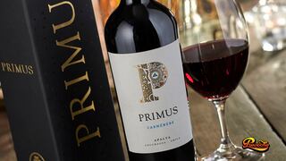 Veramonte Primus Carmenere: Giovanni Bisso nos habla sobre este vino orgánico